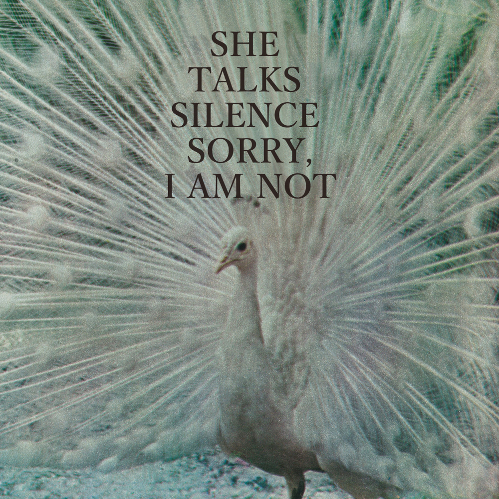 She Talks Silence